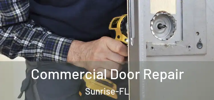 Commercial Door Repair Sunrise-FL