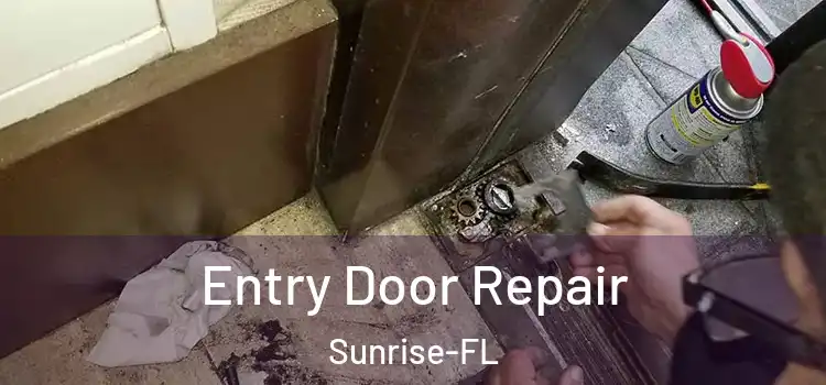 Entry Door Repair Sunrise-FL