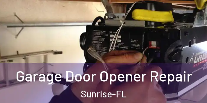  Garage Door Opener Repair Sunrise-FL