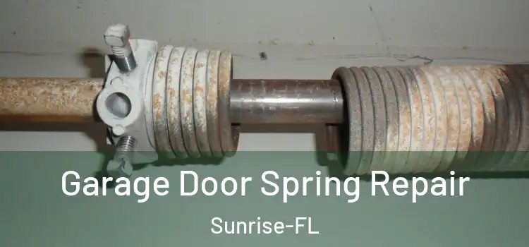 Garage Door Spring Repair Sunrise-FL