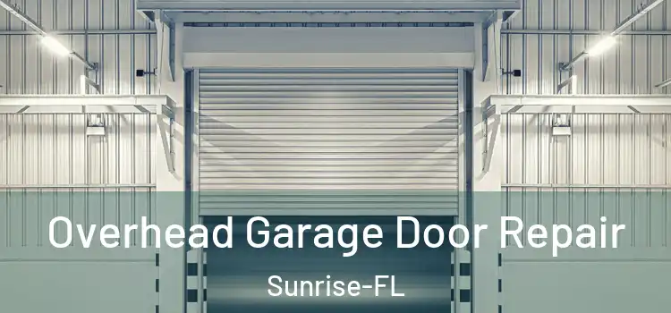  Overhead Garage Door Repair Sunrise-FL